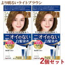 サロンドプロ 無香料ヘアカラー 早染めクリーム 白髪用 2個セット 2 より明るいライトブラウン SALON de PRO ダリヤ(DARIYA)【送料込(北海道除く)】【今だけ限定SALE】