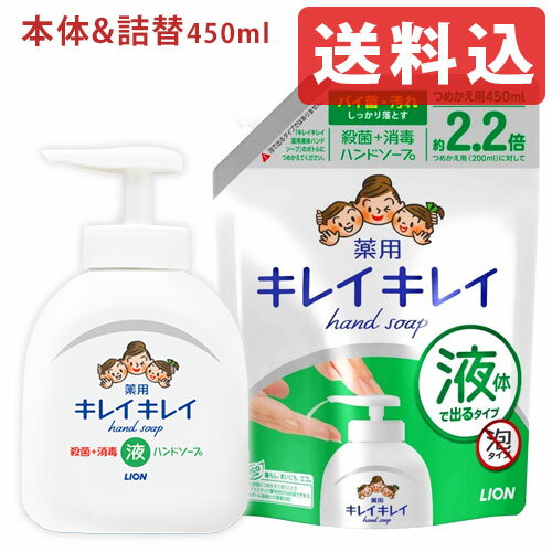 【送料込】キレイキレイ 薬用液体ハンドソープ シトラスフルーティの香り 本体250ml＆つめかえ用450ml セット販売 殺菌成分配合 ライオン LION【送料無料】