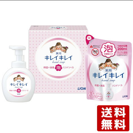 キレイキレイ 薬用泡ハンドソープ シトラスフルーティの香り 本体250ml＆つめかえ用200ml セット販売 殺菌成分配合 ライオン LION【送料込】