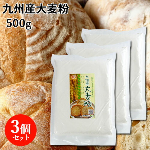 九州産 大麦粉 500g×3個セット 食物繊維・βグルカンたっぷり 国産オオムギ 健康 パン作り 天ぷら 調理におすすめ ライスアルバ【送料込】