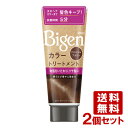 【送料無料(北海道除く)】ビゲン(Bigen) カラートリートメント ナチュラルブラウン 180g×2個セット ホーユー(hoyu)