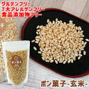 昔ながらのポン菓子 やさしい味付けで子どもも食べやすい ポン菓子(玄米)60g 大徳
