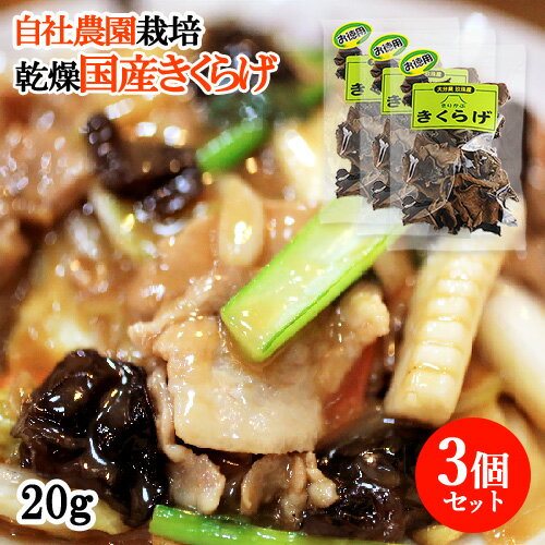 ʬ 礭餲 15g3ĥå 奦ե(̳ƻ)
