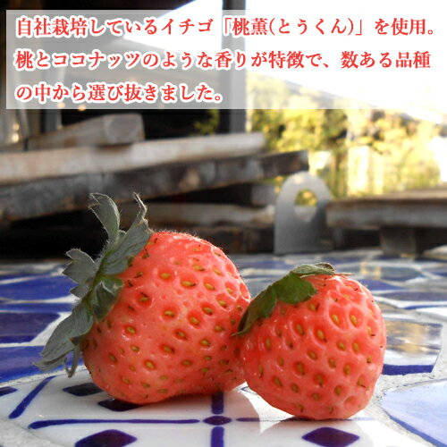自然から生まれた体にやさしい果実酢 桃薫いちごの地熱ビネガーお試しミニボトル 105mL 桃やココナッツの香りがする不思議な苺 [鉄輪本舗] 2