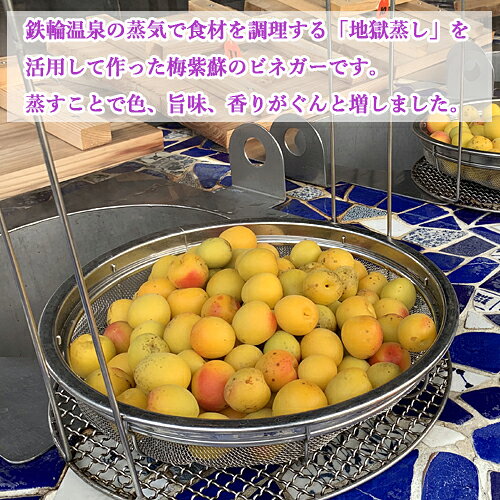 自然から生まれた体にやさしい果実酢 梅と紫蘇の地熱ビネガーレギュラーボトル 200mL×2個セット 地獄蒸しで味を濃縮させた自家製の梅・しそ [鉄輪本舗]【送料込(北海道除く)】 2