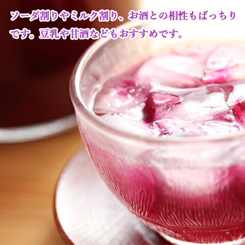 自然から生まれた体にやさしい果実酢 梅と紫蘇の地熱ビネガーレギュラーボトル 200mL×2個セット 地獄蒸しで味を濃縮させた自家製の梅・しそ [鉄輪本舗]【送料込(北海道除く)】 3