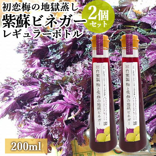 自然から生まれた体にやさしい果実酢 梅と紫蘇の地熱ビネガーレギュラーボトル 200mL×2個セット 地獄蒸しで味を濃縮させた自家製の梅・しそ 