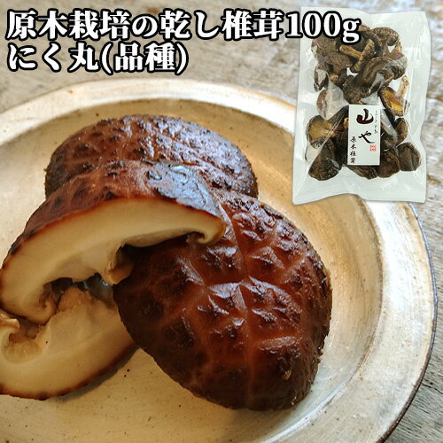 国東半島で原木栽培 乾し椎茸 香信 100g にく丸(菌) くにさき半島 山や