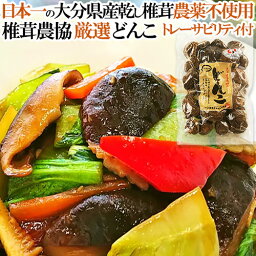 椎茸日本一の大分県産100％ クヌギ原木栽培干しシイタケ 肉厚な「どんこ」100g 大分県椎茸農協 トレーサビリティ付