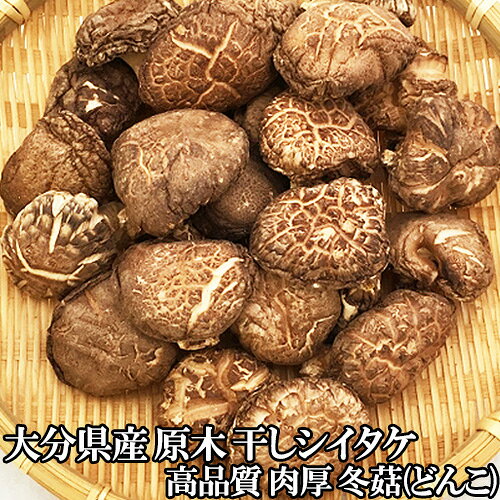 コスメボックスの椎茸日本一の大分県産100％ クヌギ原木栽培干しシイタケ 肉厚な「どんこ」100g 大分県椎茸農協 トレーサビリティ付｜アングル3