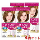4個セット【1 かなり明るいライトブラウン】白髪染め 無香料ヘアカラー 早染め乳液 サロンドプロ(SALON de PRO) ダリヤ(DARIYA)【送料込(北海道除く)】【今だけ限定SALE】