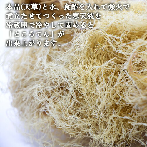 コスメボックスの磯の香りがいっぱい 大分県産 ところてんの素（天草）25g 手作りところ天 心太 心天 寒天 テングサ100% 紅藻類 海藻 食物繊維 国産 山忠｜アングル3