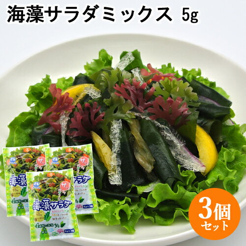 色鮮やかな海の野菜を手軽に！ 海藻サラダ 15g(5g×3袋)×3個セット 便利な個包装タイプの海藻サラダ 山忠 【送料無料】