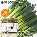 白ネギを贅沢に使用 白ネギたっぷりみそ 110g×3個セット おかず味噌 シセイ・アグリ 【送料無料】