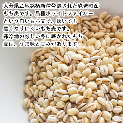 食物繊維が豊富な 大分県玖珠町産 もち麦 250g 雑穀 もち麦ごはん ご飯 御飯 お米 ...