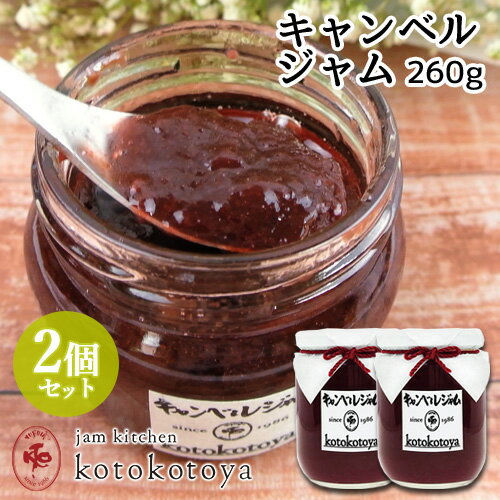 z@ŒNĂW 啪Y LxW 260g~2Zbg Ԃǂ Ɛ Jam kitchen kotokotoyayz