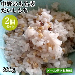 大分県豊後大野市清川町産 中野のもち麦(精麦) だいしもち 300g×2個セット むらさきもち麦 麦ごはん 食物繊維をプラス β-グルカン 国産 九州産 農事組合法人グリーン法人中野【メール便送料無料】