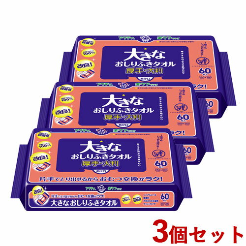 3個セット 大きなおしりふきタオル 厚手・大判 250mm×200mm 60枚入 アクティ 楽ケアシリーズ 日本製紙..