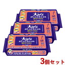 3個セット 大きなおしりふきタオル 厚手・大判 250mm×200mm 60枚入 アクティ 楽ケアシリーズ 日本製紙クレシア(Crecia)【送料無料】