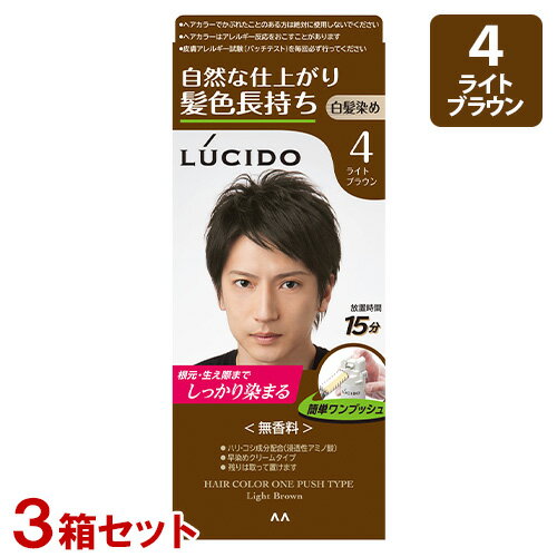 ルシード(LUCIDO) ワンプッシュケアカラー ライトブラウン 白髪用 無香料 3個セット マンダム(mandom)【送料無料】