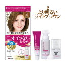 【2 より明るいライトブラウン】白髪染め 無香料ヘアカラー 早染め乳液 サロンドプロ(SALON de PRO) ダリヤ(DARIYA)