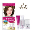 サロンドプロ 無香料ヘアカラー 早染め乳液 6 ダークブラウン 白髪染め SALON de PRO ダリヤ(DARIYA)【今だけ限定セール】