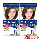 サロンドプロ 無香料ヘアカラー 早染めクリーム 白髪用 2個セット 4K 栗色がかったライトブラウン SALON de PRO ダリヤ(DARIYA)【送料込(北海道除く)】【今だけ限定SALE】
