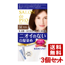 3個セット無香料ヘアカラー 早染めクリーム (白髪用) サロンドプロ(SALON de PRO) ダリヤ(DARIYA)