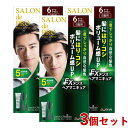 サロンドプロ EXメンズヘアマニキュア 白髪用 3個セット 6ダークブラウン SALON de PRO ダリヤ(DARIYA)【送料込(北海道除く)】