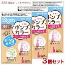 【3個セット】 ビゲン(Bigen) ポンプカラー つめかえ 2RB 明るいリッチブラウン ホーユー(hoyu) 【送料込(北海道除く)】 白髪染め 泡タイプ