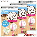 【3個セット】 ビゲン(Bigen) ポンプカラー つめかえ 5 ブラウン ホーユー(hoyu) 【送料込(北海道除く)】 白髪染め 泡タイプ