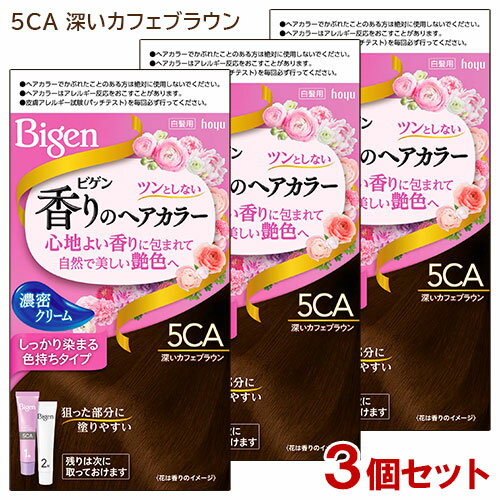 【3個セット】 ビゲン(Bigen) 香りのヘアカラー クリーム 5CA 深いカフェブラウン ホーユー(hoyu) 白髪染め 【送料込】