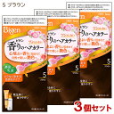 【3個セット】 ビゲン(Bigen) 香りのヘアカラー 乳液 5 ブラウン ホーユー(hoyu) 白髪染め 【送料込(北海道除く)】
