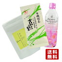 【大分県産】煎茶ティーバッグ 24g(2g×12パック) ＆ 吉四六の里 100g ＆ 別府桜湯温泉水 500ml お茶のとまや 高橋製茶 桃太郎海苔【送料無料】