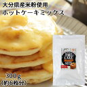 大分県産米 米粉ホットケーキミックス 300g(約6枚分) アルミニウムフリー グルテンフリー ノングルテン ヘルシースイーツ 国産素材 ライスアルバ