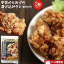 宇佐からあげの漬け込みダレ&からあげ粉セット お試し85g+80g(唐揚げ下味用・鶏肉約500g用)×2個セット カラアゲ調味液 お惣菜の素 常温 ナルミ総合企画【メール便送料込】