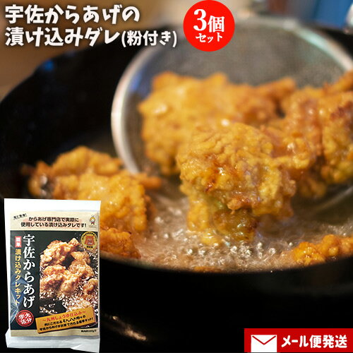 宇佐からあげの漬け込みダレ&からあげ粉セット お試し85g+80g(唐揚げ下味用・鶏肉約500g用)×3個セット カラアゲ調味液 お惣菜の素 常温 ナルミ総合企画【メール便送料込】