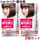 2個セット 縮毛矯正セット【ショートヘア・部分用】 縮毛矯正剤 ストレートパーマ 1回分 パーマ 自宅 お家 自分で セルフパーマ ベネゼル(VENEZEL) ...
