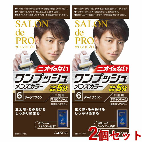 2個セット 【6 ダークブラウン】ワンプッシュ メンズカラー (白髪用) サロンドプロ(SALON de PRO) ダリヤ(DARIYA)【送料込】