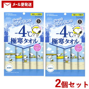 2個セット 【無香料】極寒タオル 超大判クールシート 5枚入 エスカラット(S-CARAT) コーセーコスメポート(KOSE COSMEPORT) 【ゆうパケット送料無料】