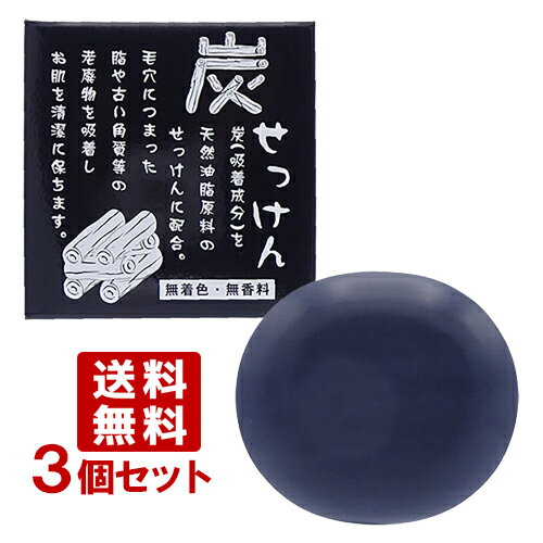 地の塩 ちのしお 炭せっけん (炭石鹸) 100g×3個セット 薬用炭配合 CHINOSHIO【送料込(北海道除く)】