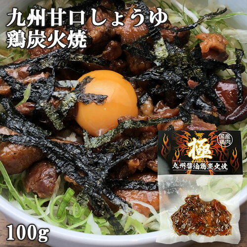 国産地鶏＆九州甘口しょうゆ使用 九州醤油 鶏炭火焼 極 100g 酒の肴 お惣菜 レトルト HellCompany ヘルカンパニー