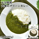 大分県産素材使用 大分大葉のグリーンカレー 1人前 180g レトルト 野菜カレー レストランの本格的な味 アダージョ Adagio