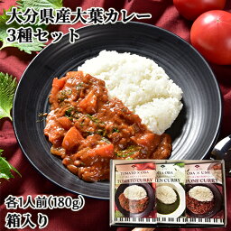 【ギフト箱入り】大分県産素材使用 大分大葉のカレー3種セット(トマトカレー・グリーンカレー・和風梅カレー)各1人前(180g) レトルト 贈答用 アダージョ Adagio【送料無料】