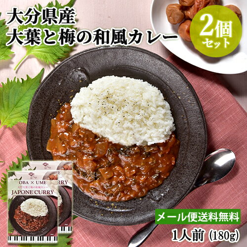 大分県産素材使用 大分大葉と梅の和風カレー 1人前(180g)×お試し2個セット レトルト 野菜カレー レストランの本格的な味 アダージョ Adagio【メール便送料無料】のサムネイル