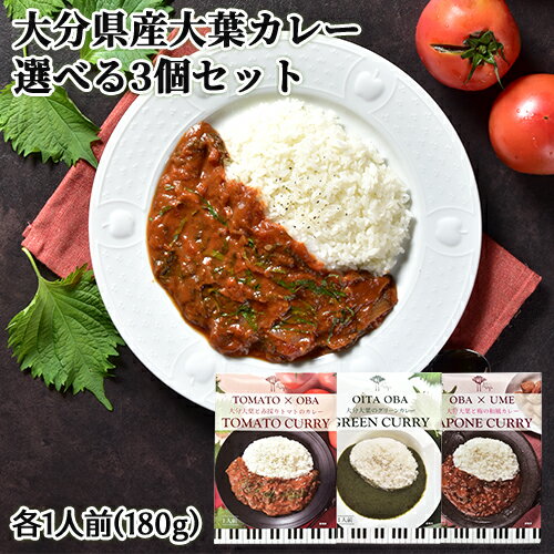ʬǺ ʬդΥ졼 ٤3ĥå(ȥޥȥ졼꡼󥫥졼ߥ졼)1(180g) ȥ Ȥ߹碌...