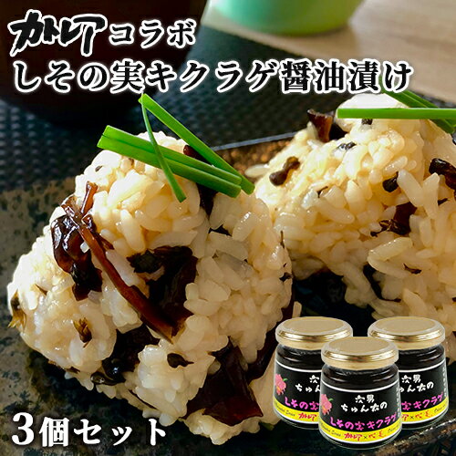 ȥ쥢 ϤΤ μ¥饲礦Ҥ 140g3ĥå ʬǺ ӤΤ Ĵ̣  Oit...