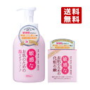 2種セット 敏感なお肌のための 泡ボディソープ500mL & 化粧石鹸100g クロバーコーポレーション(CLOVER)【送料無料】