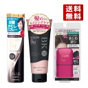 3種セット サロンドプロ(SALON de PRO) カラーオンスプレー82g & リタッチワイドマーカー20mL & カラートリートメント180g ダリヤ(DARIYA)【送料無料】