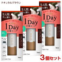 【3個セット】 シエロ(CIELO) ワンデー白髪かくし ナチュラルブラウン 9mL ホーユー(hoyu) 【送料込(北海道除く)】